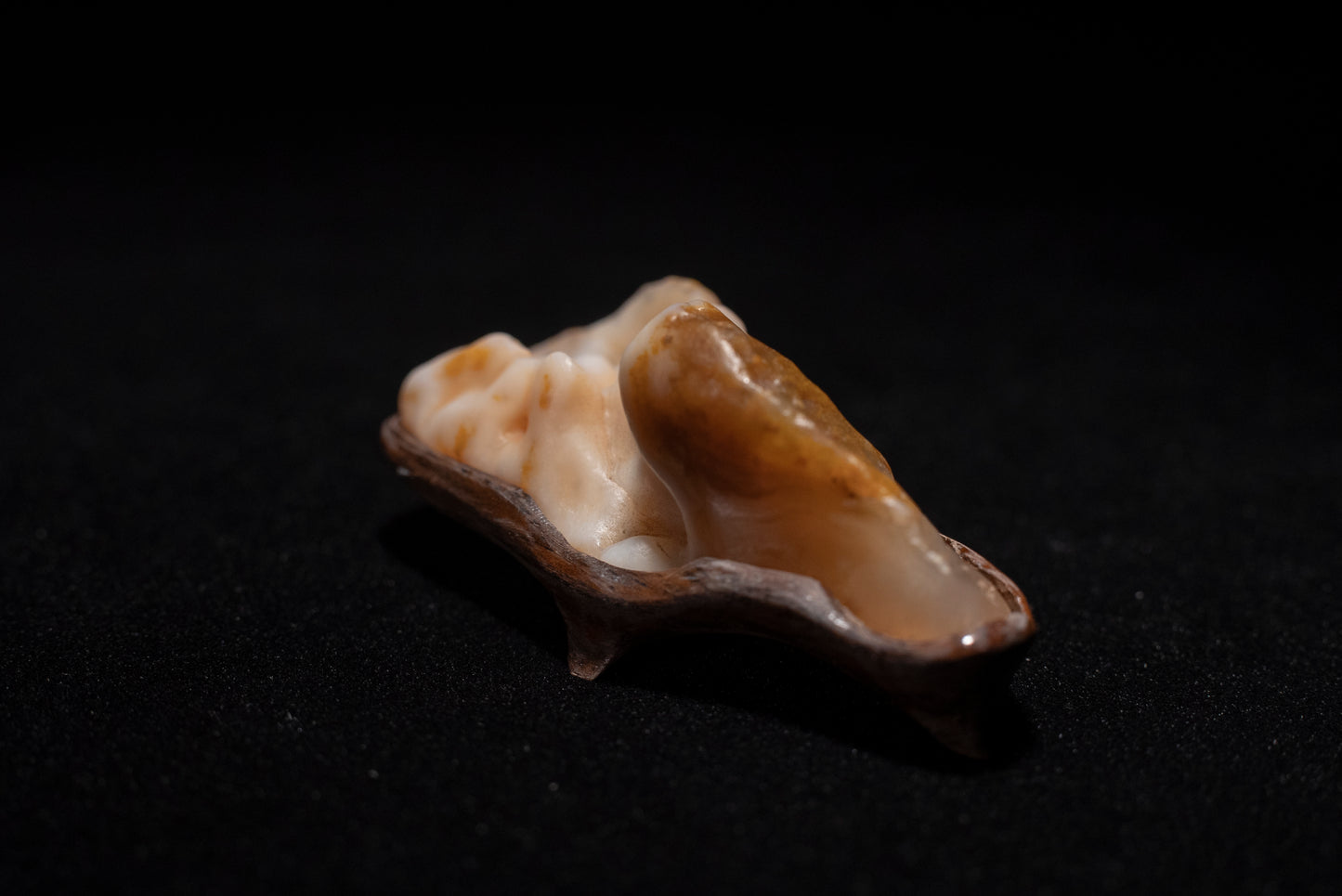 賞石擺件/戈壁沙漠漆瑪瑙石 Gebi Desert Varnish Agate Stone