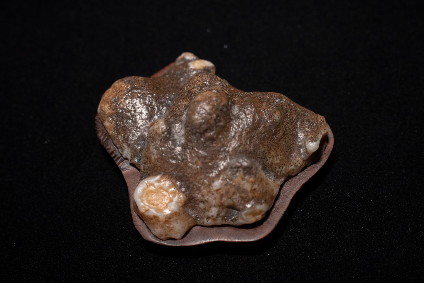 賞石擺件/戈壁老皮沙漠漆石 Gebi Aged Skin Desert Varnished Stone