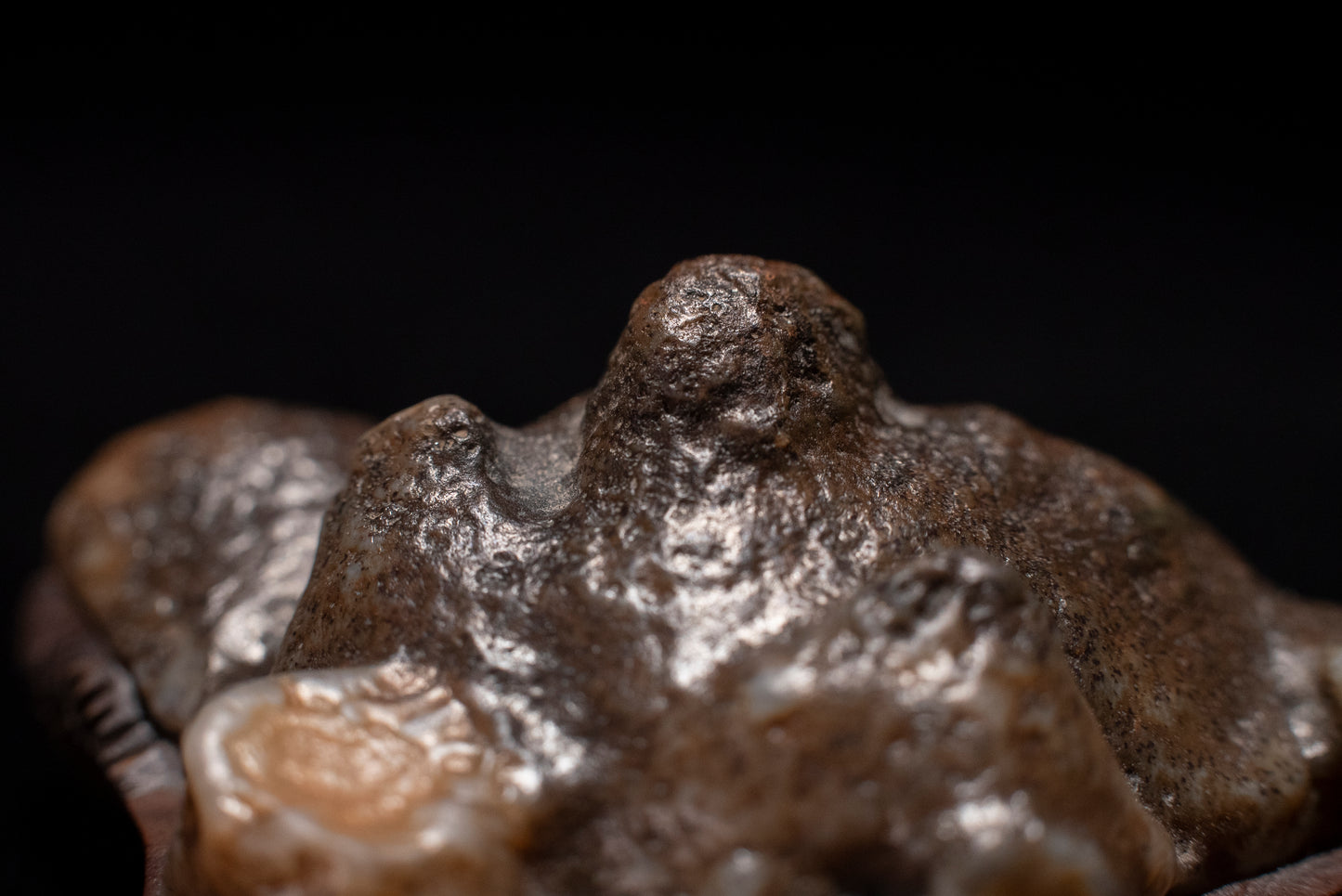 賞石擺件/戈壁老皮沙漠漆石 Gebi Aged Skin Desert Varnished Stone