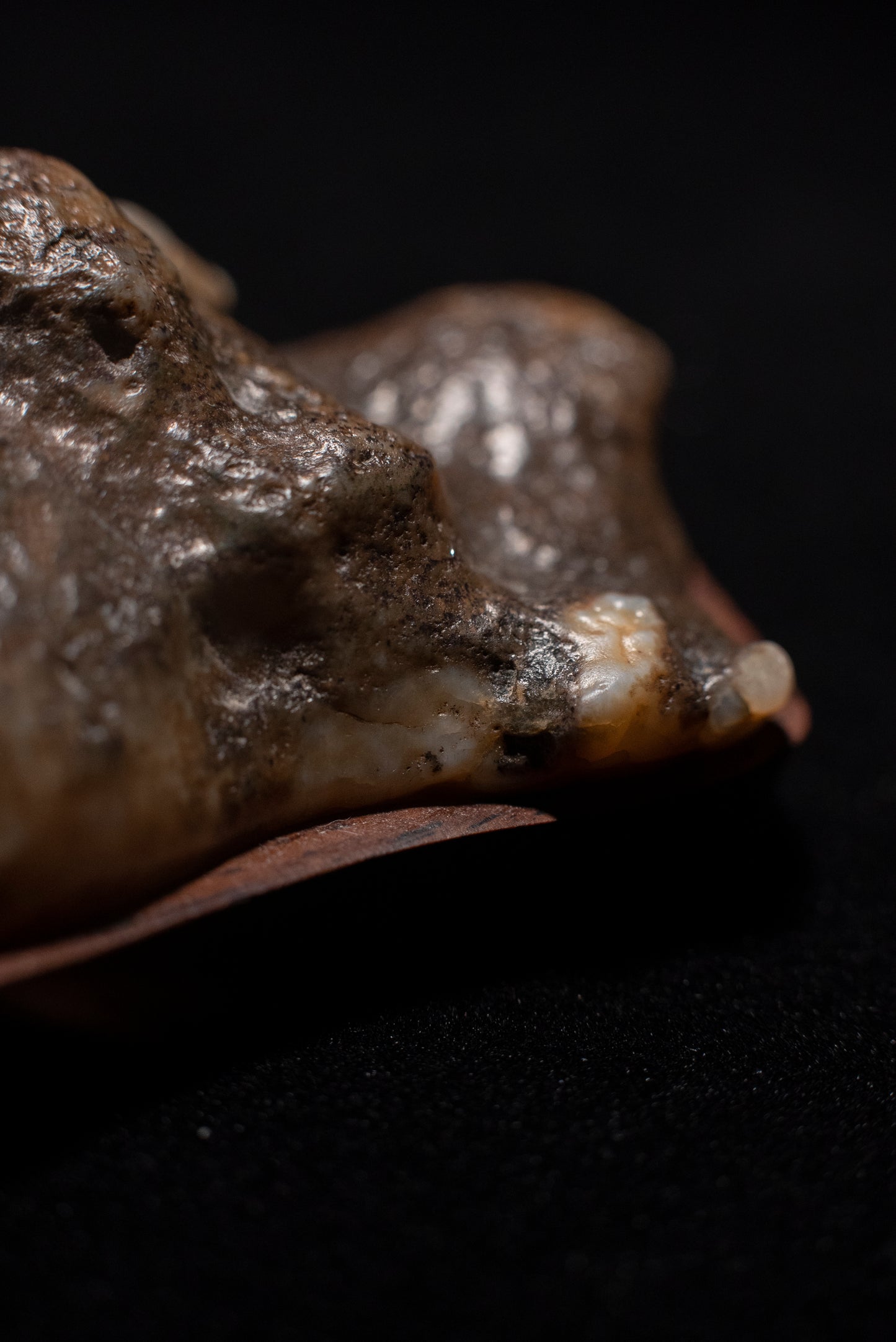 賞石擺件/戈壁老皮沙漠漆石 Gebi Aged Skin Desert Varnished Stone