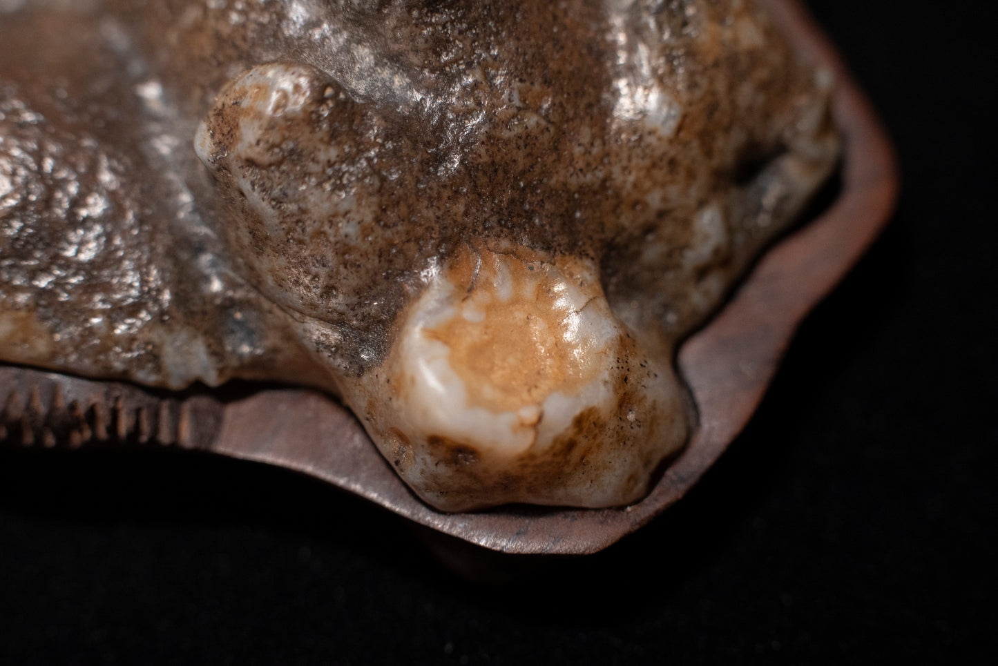 賞石擺件/戈壁老皮沙漠漆石 Gebi Aged Skin Desert Varnished Stone