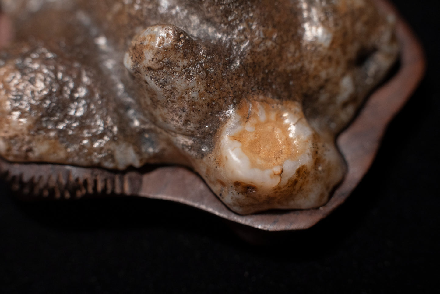 賞石擺件/戈壁老皮沙漠漆石 Gebi Aged Skin Desert Varnished Stone