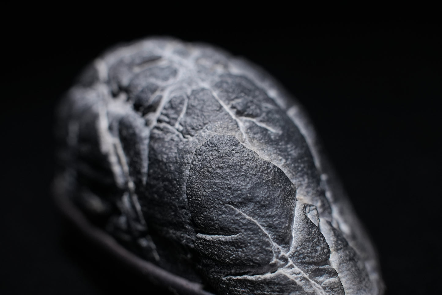 賞石擺件/靈璧石頭皮石