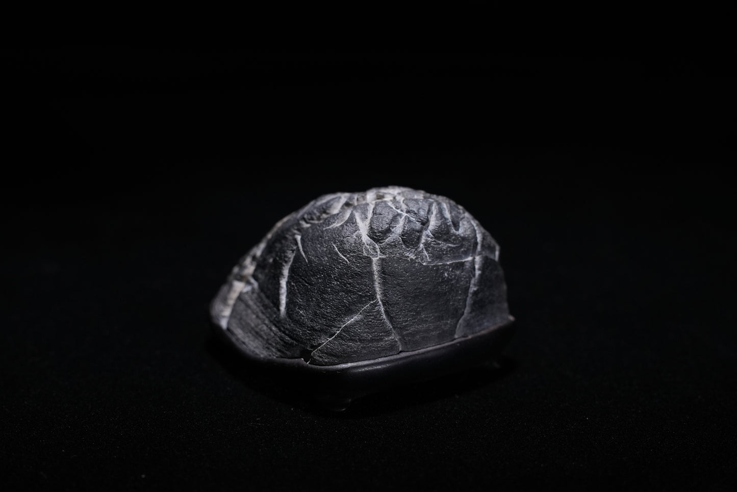 賞石擺件/靈璧石頭皮石