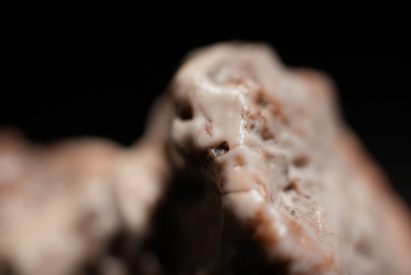 賞石擺件/ 戈壁石