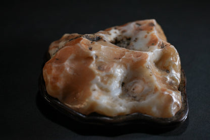 賞石擺件/戈壁石- 沙漠漆 Gebi Stone - Dessert Varnish