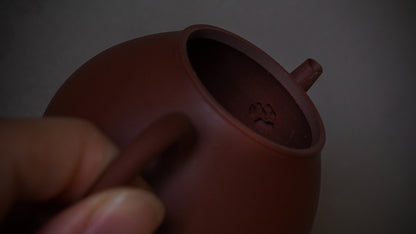 朱泥柚型端把壺(大)