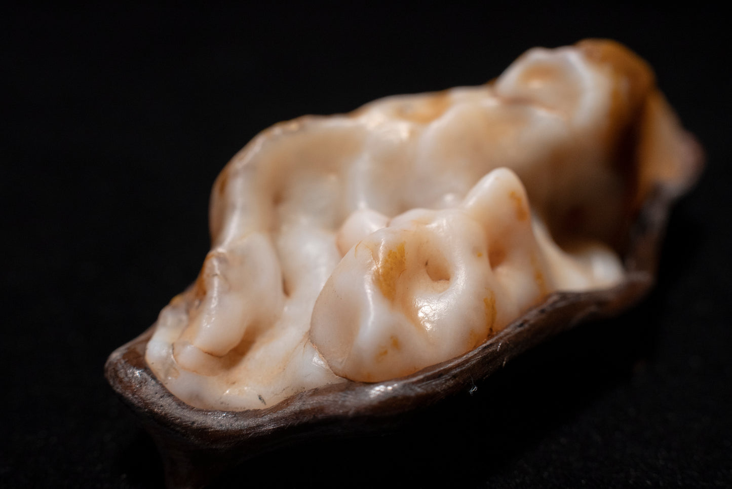 賞石擺件/戈壁沙漠漆瑪瑙石 Gebi Desert Varnish Agate Stone