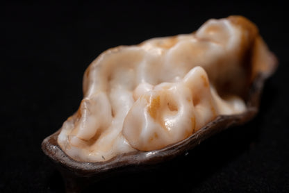 賞石擺件/戈壁沙漠漆瑪瑙石 Gebi Desert Varnish Agate Stone