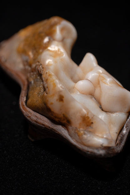 賞石擺件/戈壁沙漠漆瑪瑙石 Gebi Desert Varnish Agate Stone