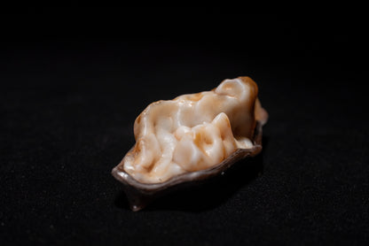 賞石擺件/戈壁沙漠漆瑪瑙石 Gebi Desert Varnish Agate Stone