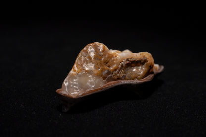 賞石擺件/戈壁沙漠漆瑪瑙石 Gebi Desert Varnish Agate Stone