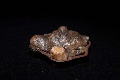 賞石擺件/戈壁老皮沙漠漆石 Gebi Aged Skin Desert Varnished Stone