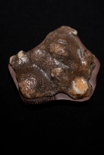 賞石擺件/戈壁老皮沙漠漆石 Gebi Aged Skin Desert Varnished Stone