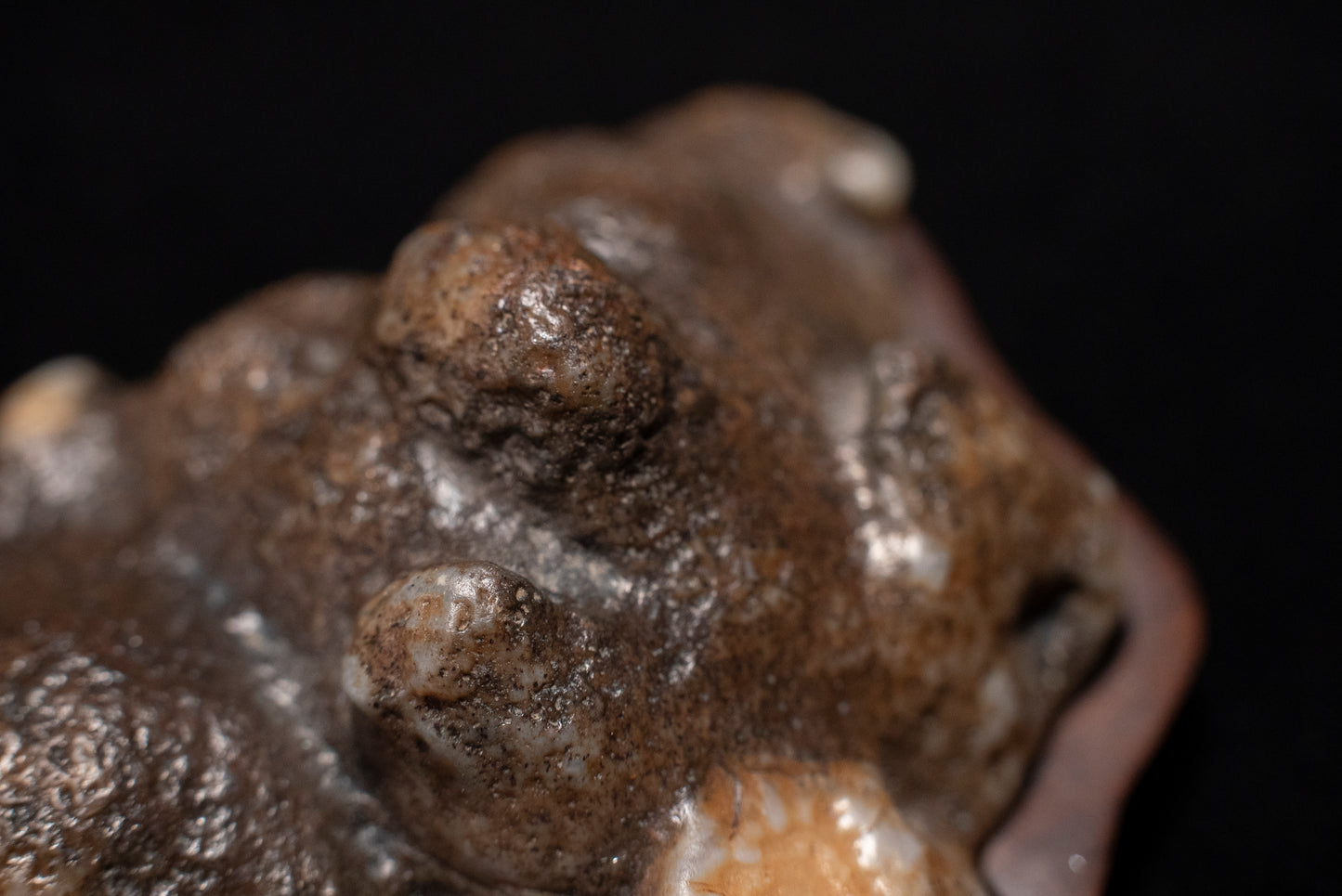 賞石擺件/戈壁老皮沙漠漆石 Gebi Aged Skin Desert Varnished Stone
