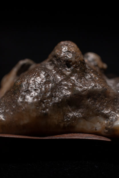 賞石擺件/戈壁老皮沙漠漆石 Gebi Aged Skin Desert Varnished Stone
