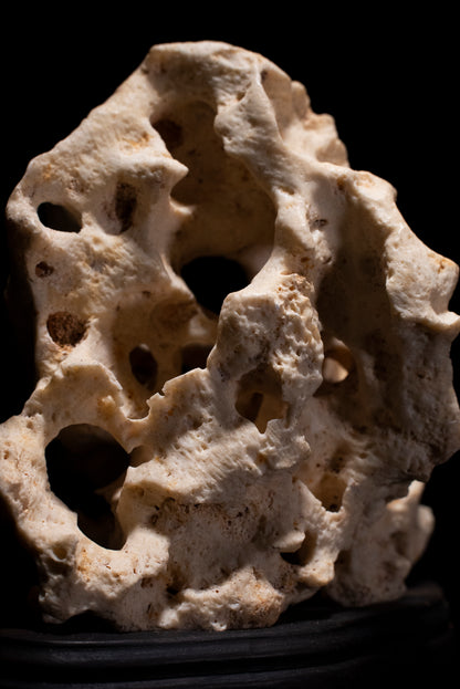賞石擺件/白太湖石Taihu Stones