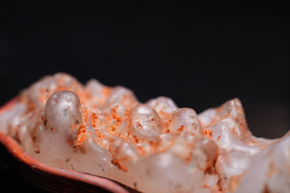 賞石擺件/戈壁瑪瑙石 Gebi Agate Stone