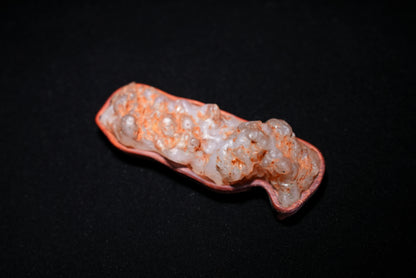 賞石擺件/戈壁瑪瑙石 Gebi Agate Stone