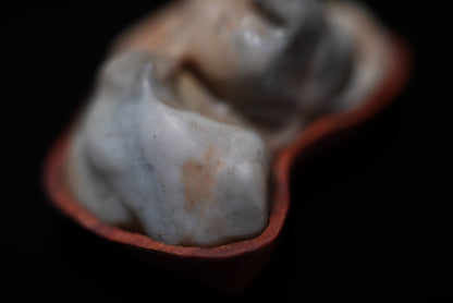 賞石擺件/ 戈壁石
