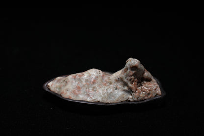 賞石擺件/戈壁瑪瑙石 Gebi Agate Stone