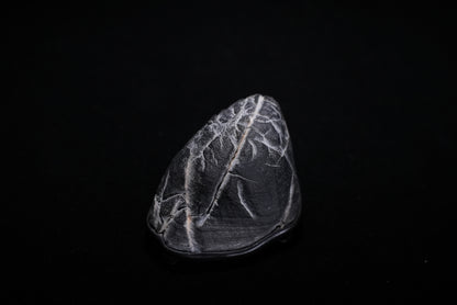 賞石擺件/靈璧石頭皮石