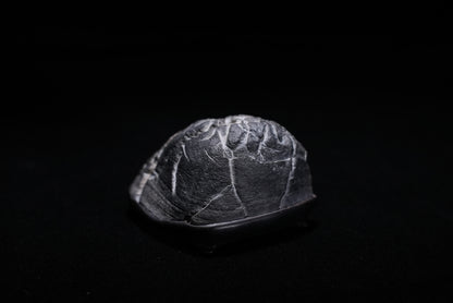 賞石擺件/靈璧石頭皮石