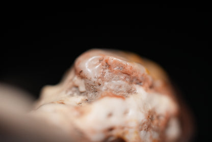 賞石擺件/ 戈壁石