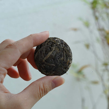 Puer Raw Tea生茶小茶餅
