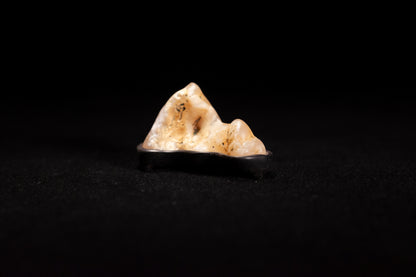 賞石擺件/戈壁瑪瑙石 Gebi Agate Stone (Copy)